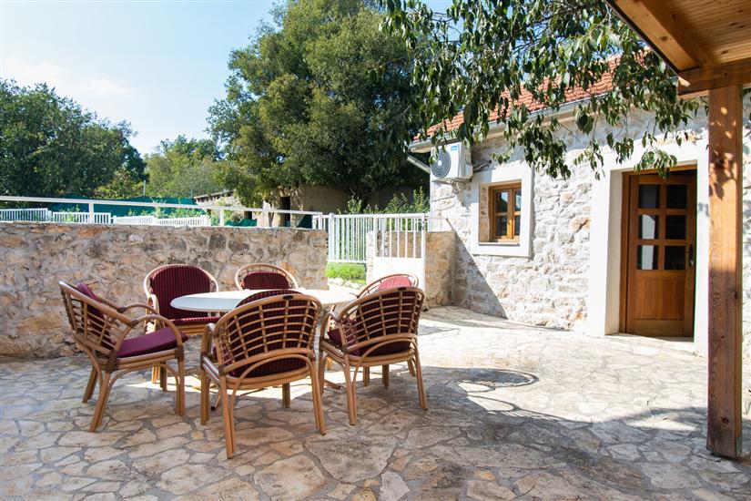 House Stone Curlew 1