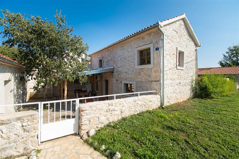 House Stone Curlew 1