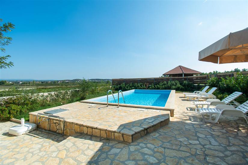 House Stone Curlew 2