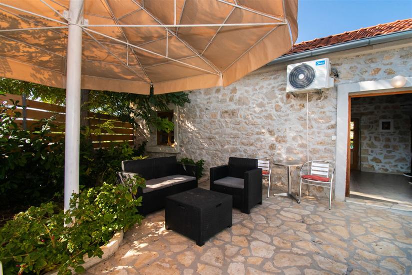 House Stone Curlew 2