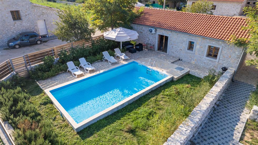 House Stone Curlew 2