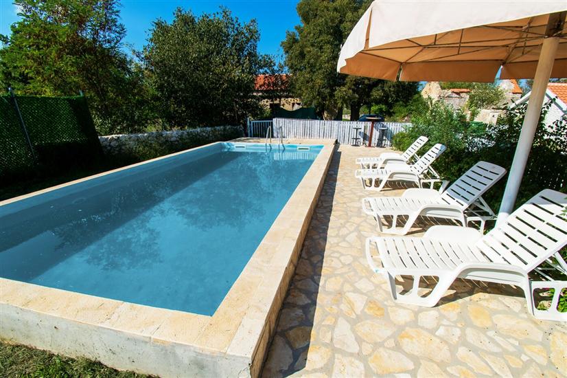 House Stone Curlew 1