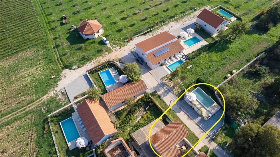 House Stone Curlew 1