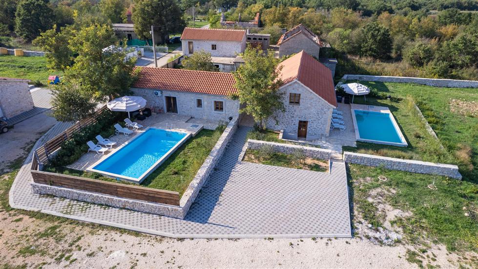 House Stone Curlew 2