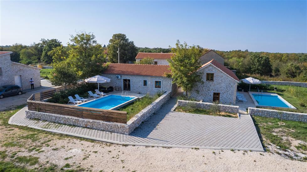 House Stone Curlew 2