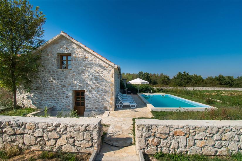 House Stone Curlew 3