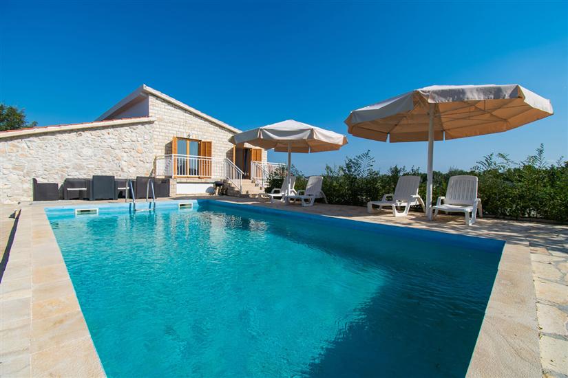 House Stone Curlew 4