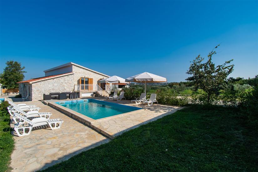 House Stone Curlew 4