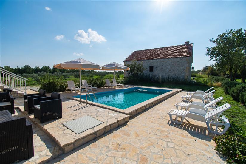 House Stone Curlew 4