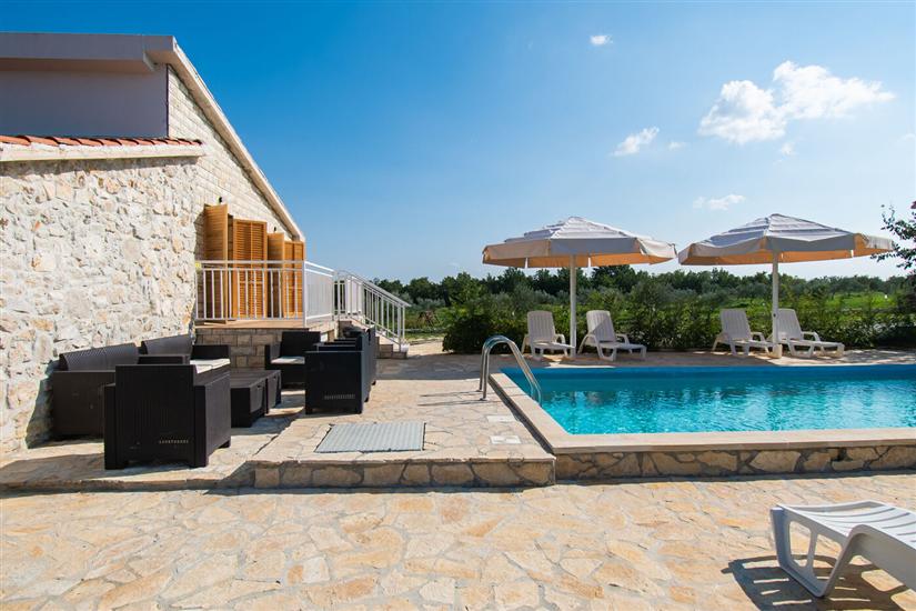 House Stone Curlew 4