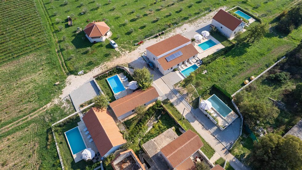 House Stone Curlew 4