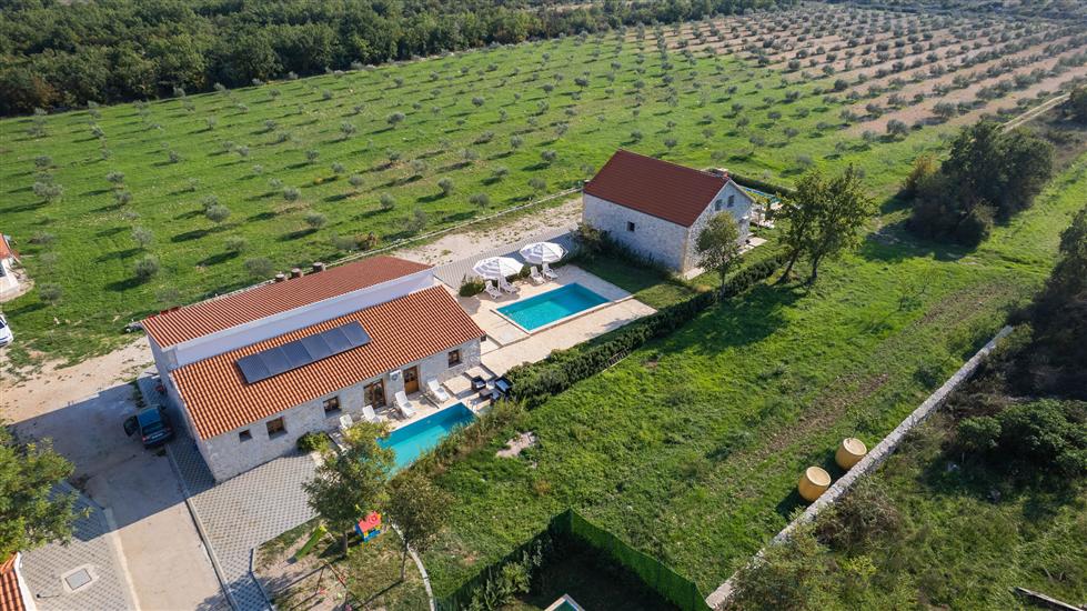 House Stone Curlew 4