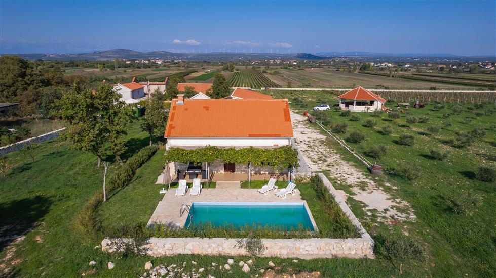 House Stone Curlew 6