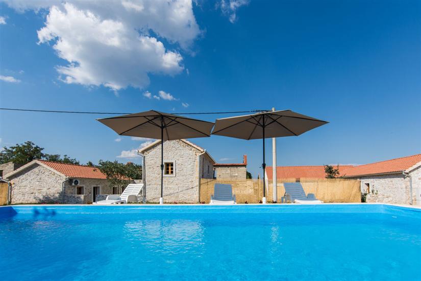 House Stone Curlew 1