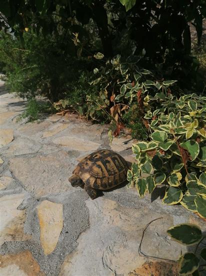 Apartment A1, for 2 persons