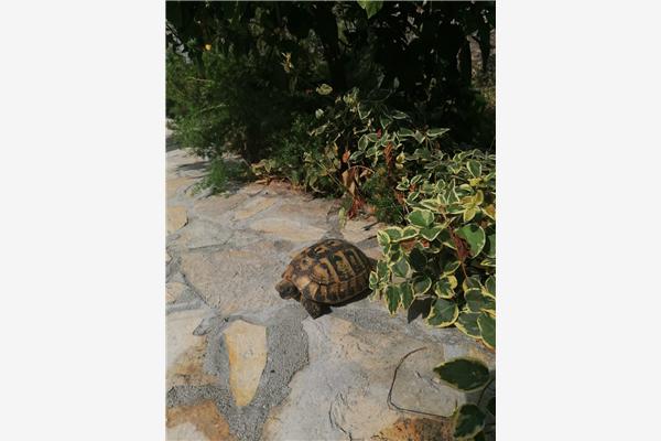 Apartment A1, for 2 persons