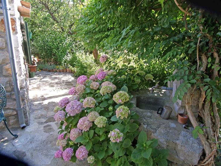 Apartment A1, for 3 persons