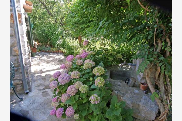 Apartment A1, for 3 persons