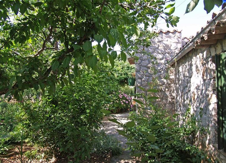 Apartment A1, for 3 persons