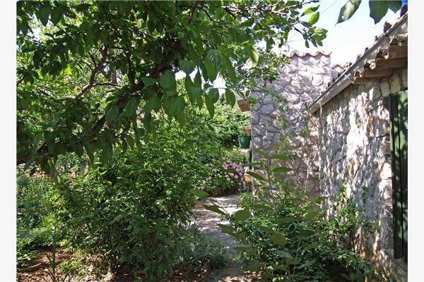 Apartment A1, for 3 persons