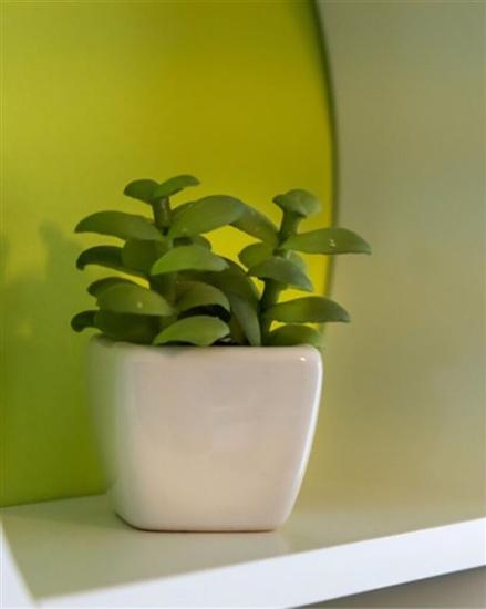 Apartman A2, na 4 osebe