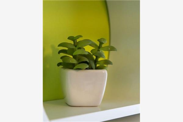 Apartman A2, na 4 osebe