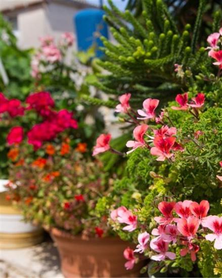 Apartman A1, na 3 osebe