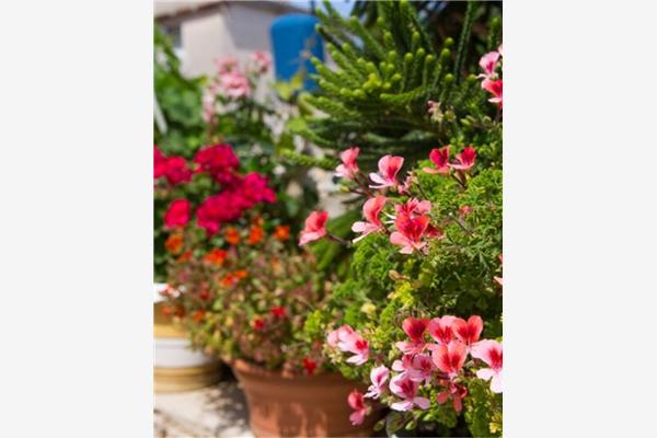 Apartman A1, na 3 osebe