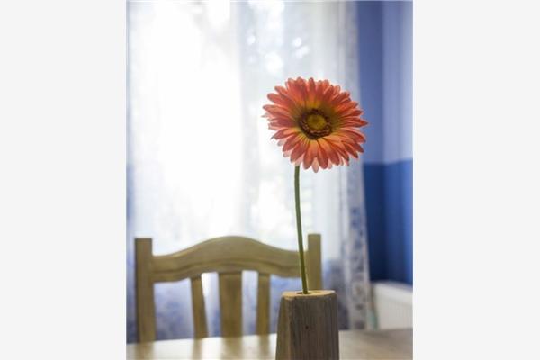 Apartman A1, na 3 osebe