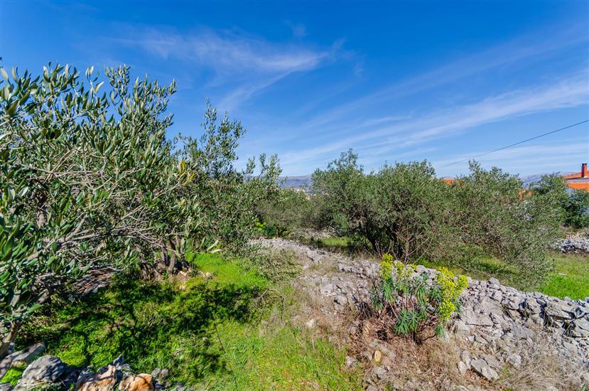 Apartments Stara Maslina