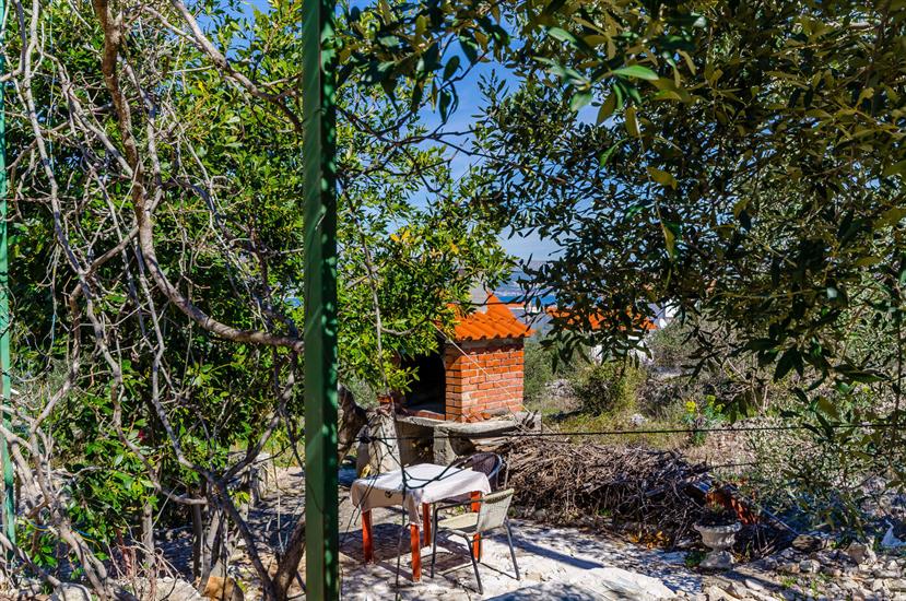 Apartments Stara Maslina