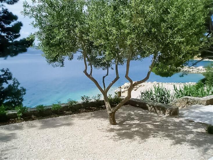 Apartments Beach Dream