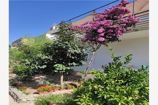 Apartman A1, na 6 osebe