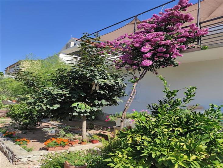 Apartmaj Jacuzzi Residence