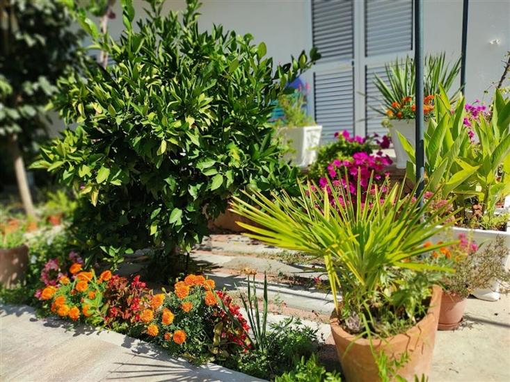 Apartmaj Jacuzzi Residence