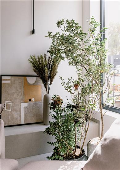 House K1, for 8 persons