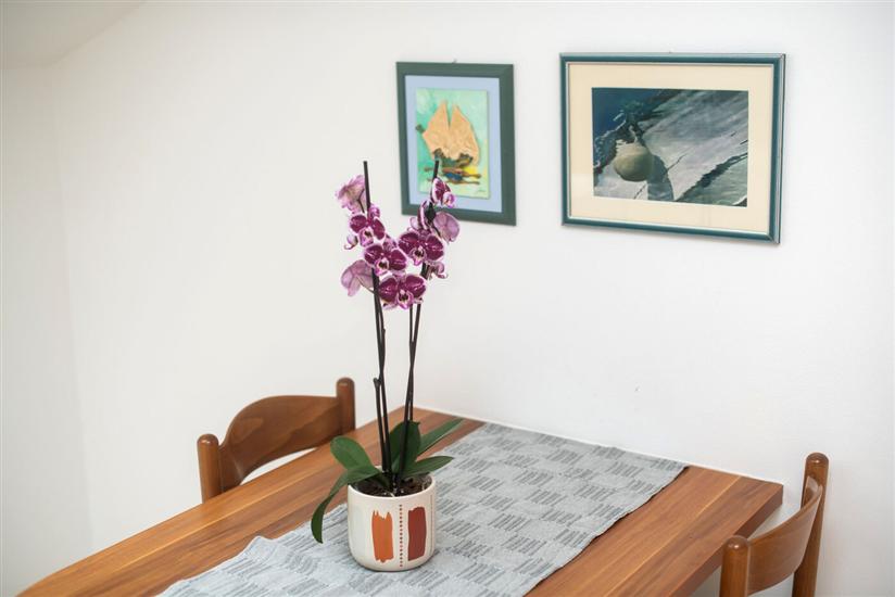 Apartment A5, for 3 persons