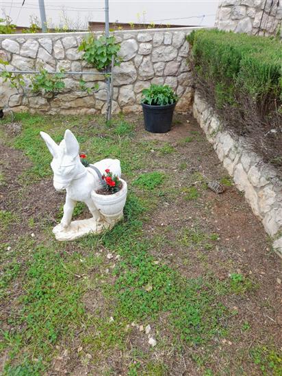 Apartment Sunny Terrace Oasis