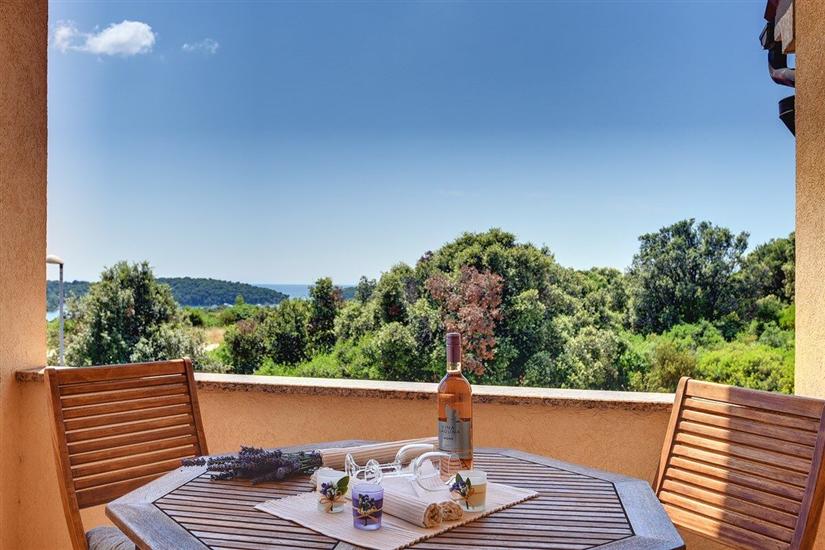 Apartment A1, for 3 persons