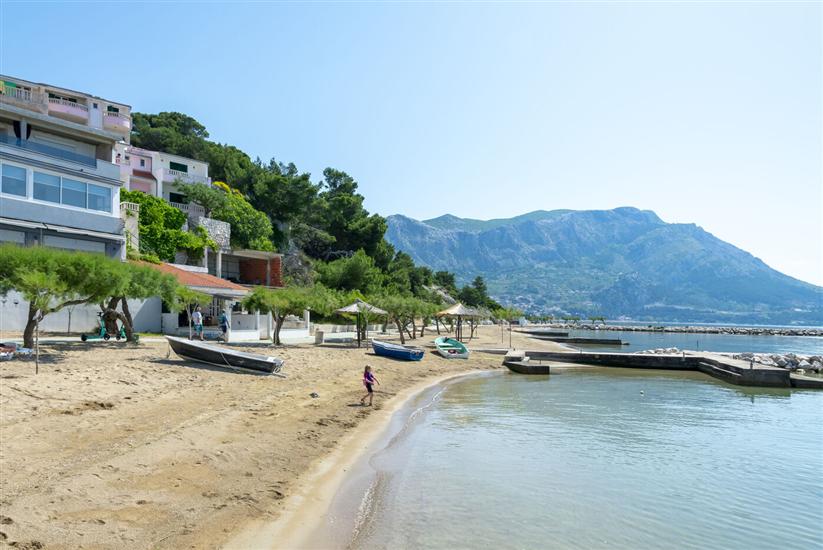 Apartments and Room Jure