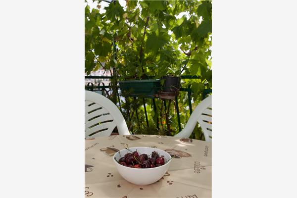 Apartment A1, for 2 persons