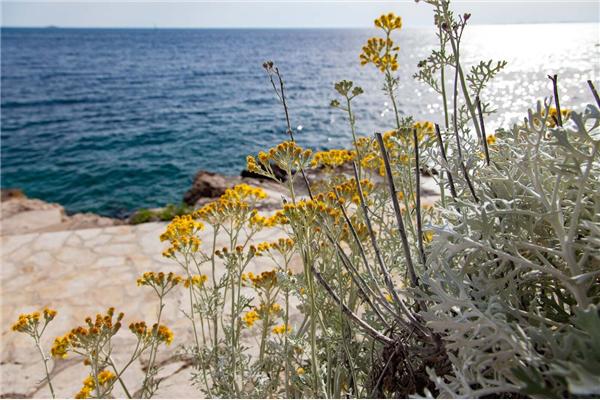 Apartment A3, for 6 persons