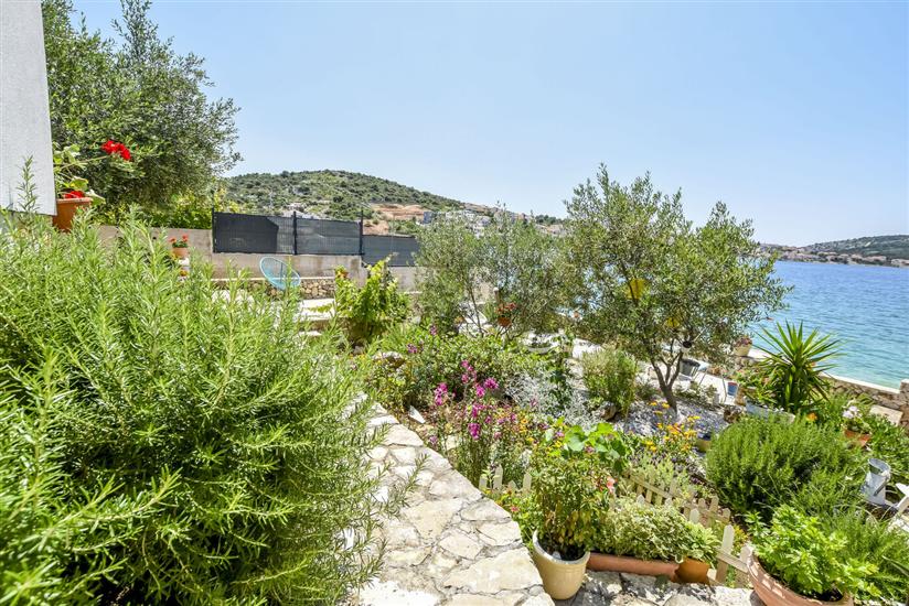 House Spirit of the sea