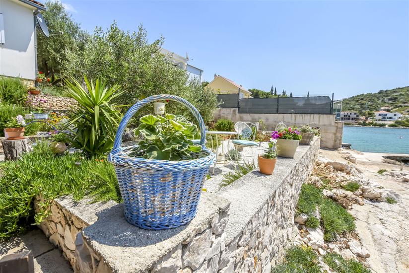 House Spirit of the sea