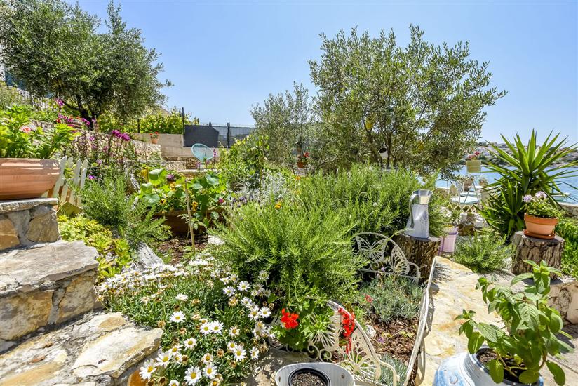 House Spirit of the sea