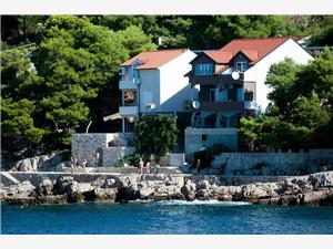 Apartments Gojka Bilo (Primosten), Size 35.00 m2, Airline distance to the sea 10 m