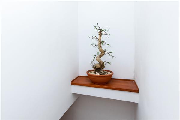 House K1, for 7 persons