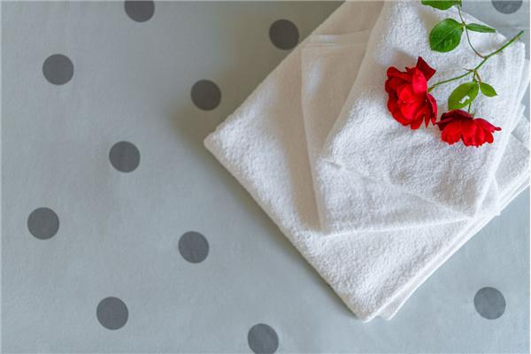 House K1, for 12 persons