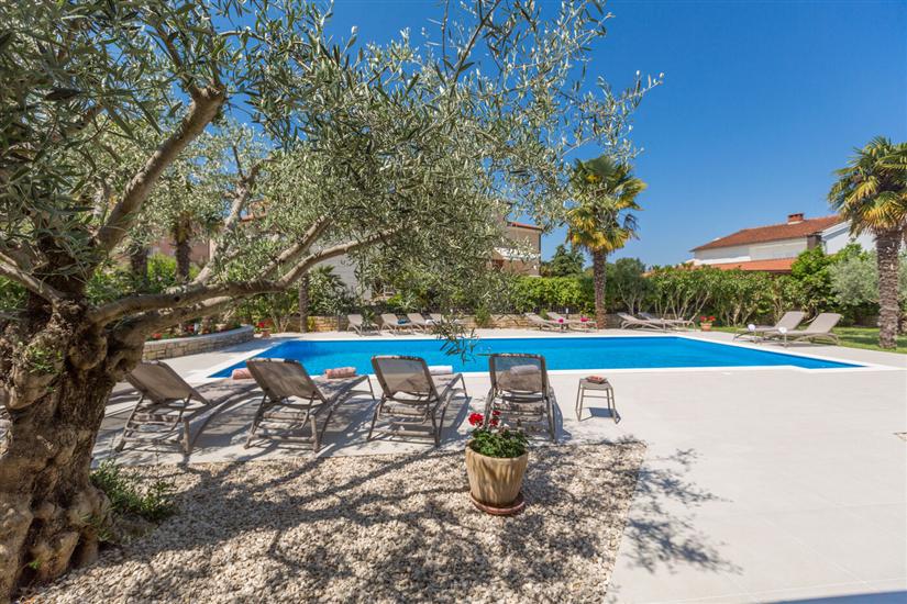 Apartment Paradiso 1