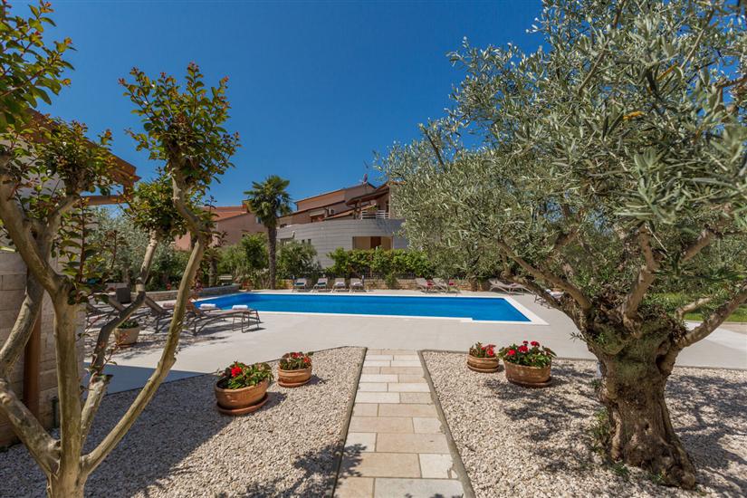 Apartment Paradiso 6